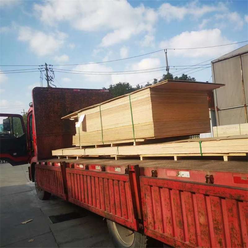 江西九江都昌县至塔城货运专线，一站式物流服务助您成功